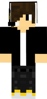 LeoCraftZIKA