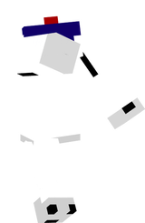 R2S2 Skin 2