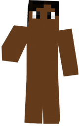 hvoid