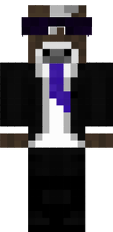 Skyner