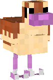 Pidgey