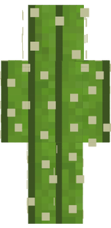 Cactus