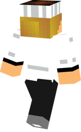 pote de sal