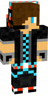 skin