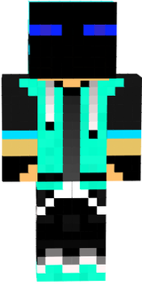 ENDER SKIN
