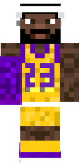 skin minecraft lebron james