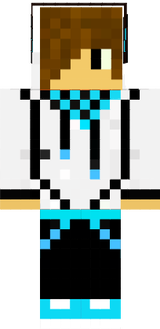 skin