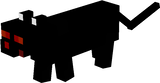 black ocelet