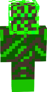 Camo Net v Fianl