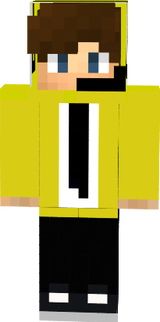 KDani77 mestermc skin