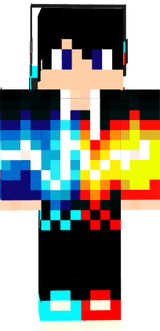 Skin 4555