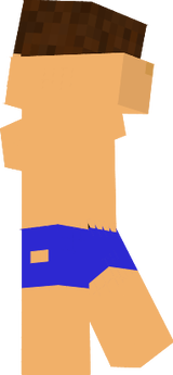 Redamin fixed bathroom skin