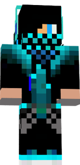 Pleer