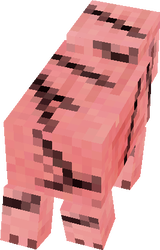 dfd