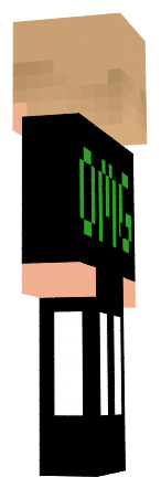 Preview of texture: loo