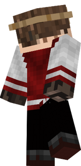 ProppelerXD