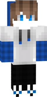 sgsfs