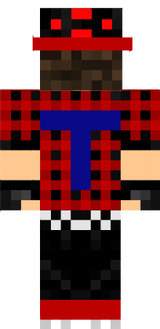 Taidas LT