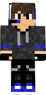 lansycat #2