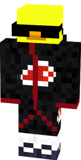 skin ente 