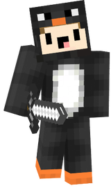 PingueZYT.pose