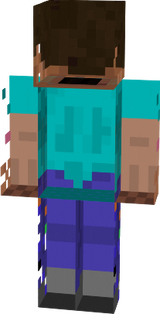steve