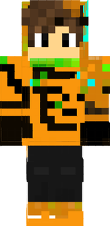 dbg skin