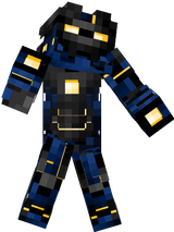skin