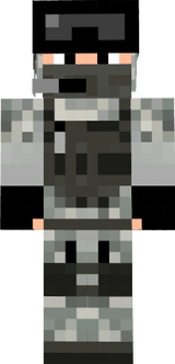 skin
