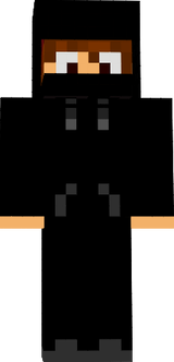 TheGamer