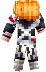  skin 