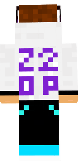 z20p007