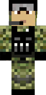 dssf