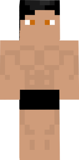 Swordsman 1.16.5