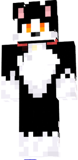 acenix negro
