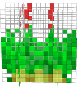 potato_stage3