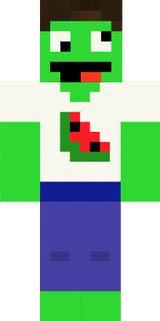 COOLMELONSLICESHIRTFG