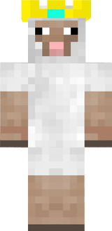 sheep