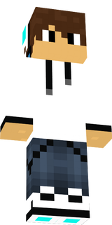 chip2012