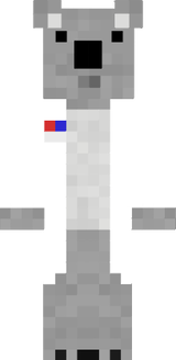 Docter_Koala