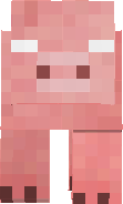 hero pig