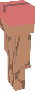 minecraft skin