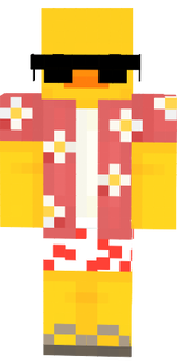 skin minecraft