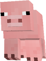 Smooth Pig
