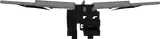 Dark dragon (with ender)