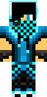 skin