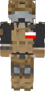 Military poland
