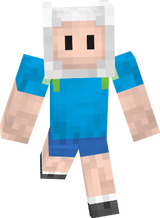 fin 2