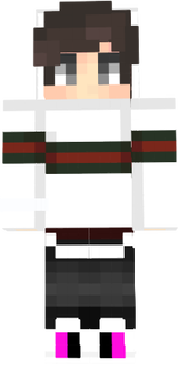 skin 1