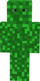 Camo02